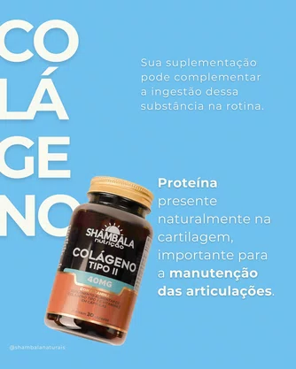 Kit Shambala Saúde Articular