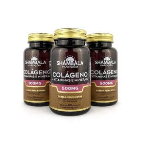 Kit 3 Colágeno com vitaminas e minerais