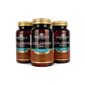Kit 3 Colágeno tipo 2 com vitamina E 30 cápsulas com 40mg