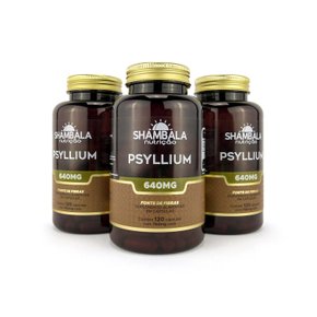 Kit 3 Psyllium 120 cápsulas de 640mg