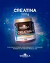 Creatina monohidratada 300g