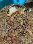 Granola Premium Sem Glúten 2kg