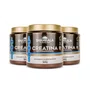 Kit 3 Creatina monohidratadas 300g