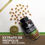 Kit 3 Extrato de própolis verde sem álcool 60 cápsulas