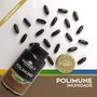 Kit 3 Polimune própolis com vitaminas e minerais 30 cápsulas de 1200mg